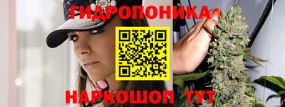 spice Кимры