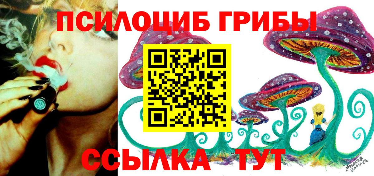 Знаменск  Псилоцибиновые грибы мухоморы  Вход с VPN 