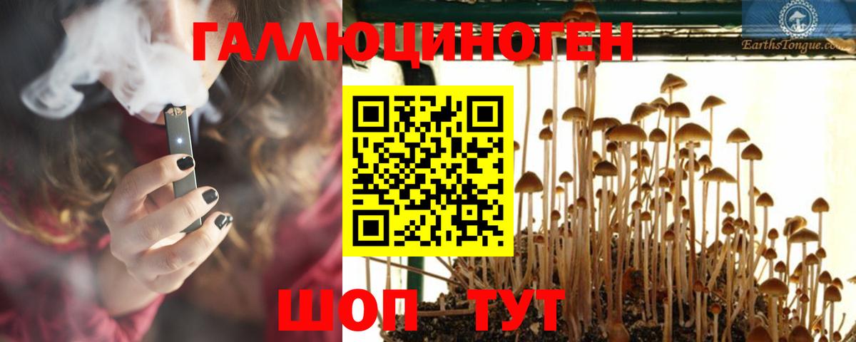 Псилоцибиновые грибы MAGIC MUSHROOMS Знаменск